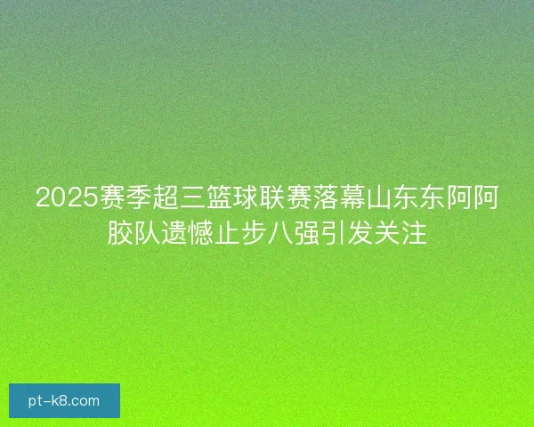 2025赛季超三篮球联赛落幕山东东阿阿胶队遗憾止步八强引发关注